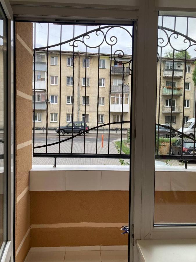 New Cosy Apartment Lviv Buitenkant foto